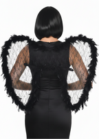 Large Sheer Black Lace Wings with Fluffy Black Feather Trim - Main Image
