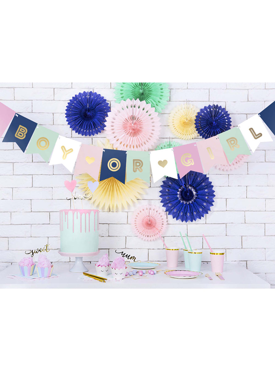 Boy Or Girl 175cm Gender Reveal Party Bunting — Lifestyle Image
