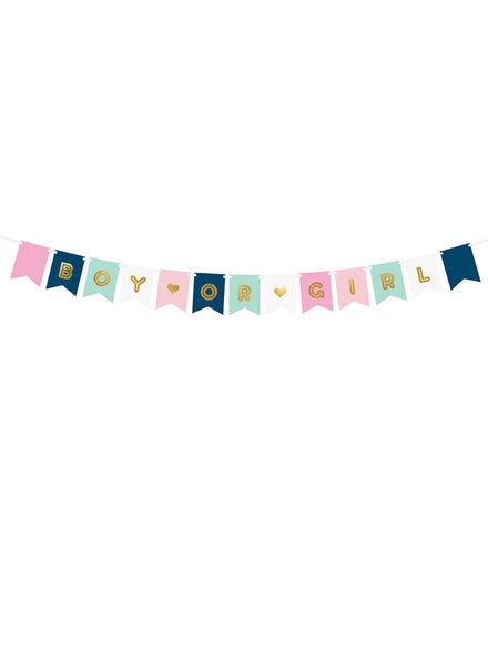 Boy Or Girl 175cm Gender Reveal Party Bunting — Main Image