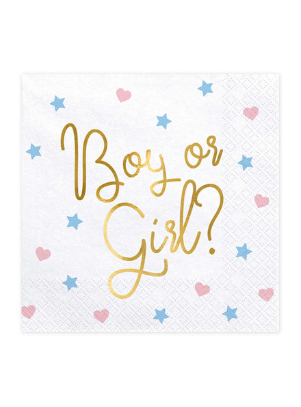 Boy Or Girl 20 Pack Gender Reveal Lunch Napkins — Main Image