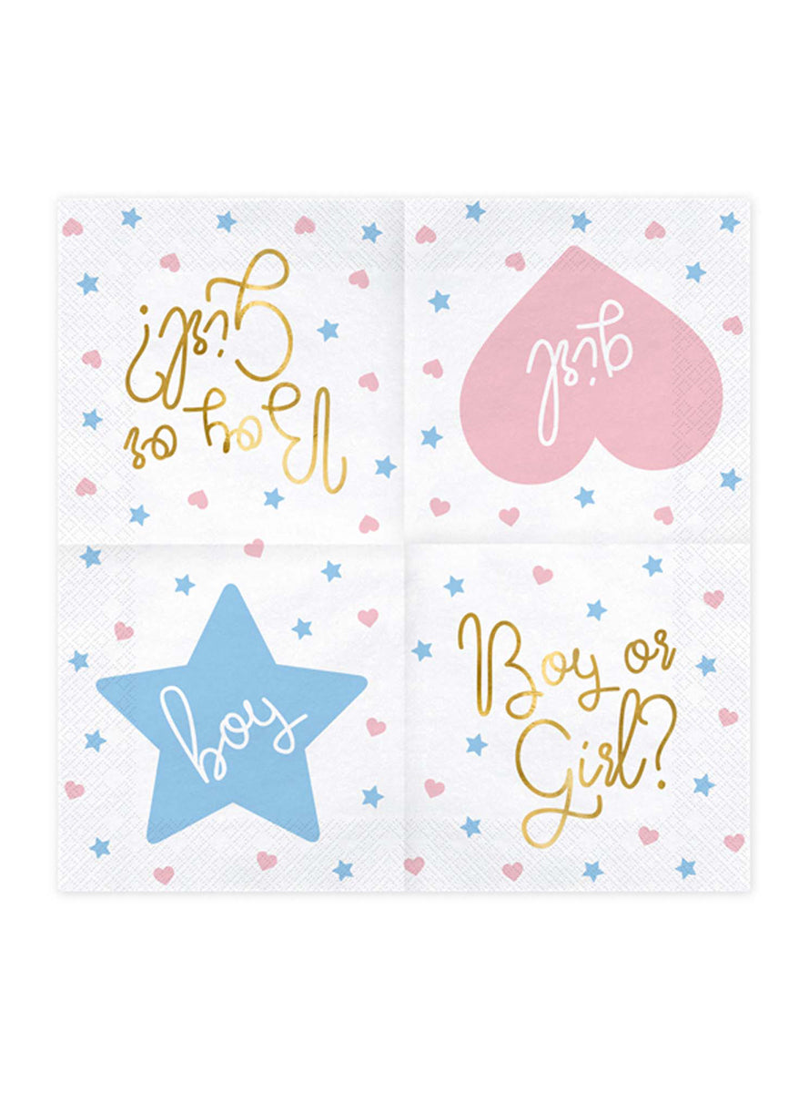 Boy Or Girl 20 Pack Gender Reveal Lunch Napkins — Unfolded Image
