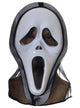Image of Plastic Ghostface Halloween Costume Mask 