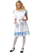 Women's Satin Blue Classic Alice In Wonderland Fancy Dress Costume Main Image