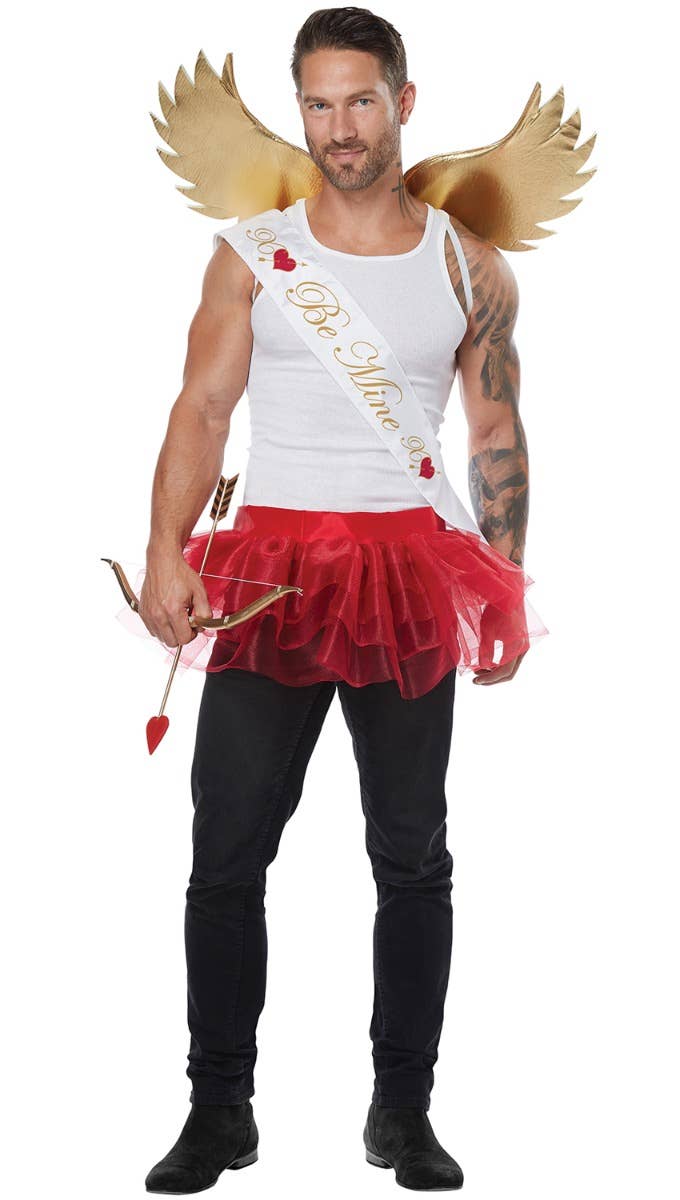 Adult's Valentine's Day Cupid Costume Accessory Kit Alternative Image