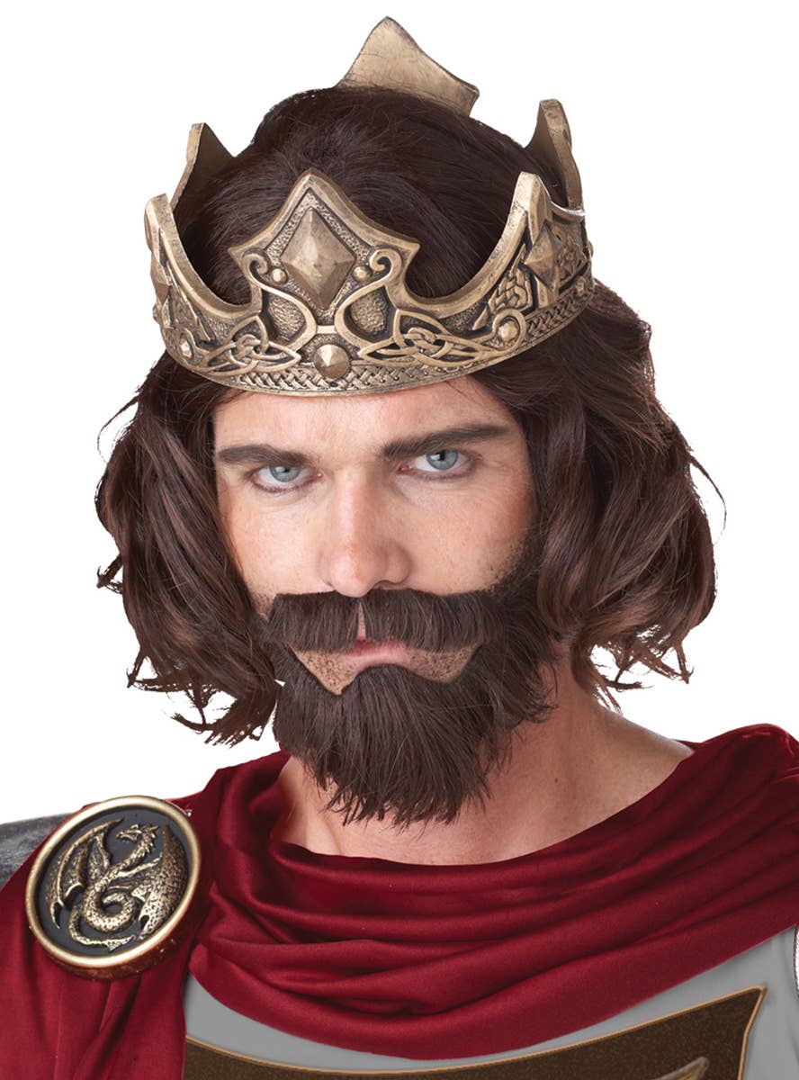 Men's Medieval King Wig and Beard Costume Accessory Set - Main Image