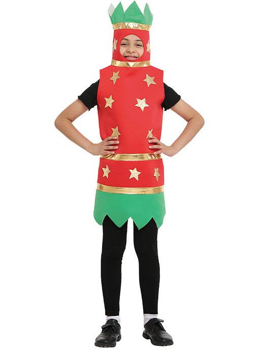 Boys christmas fancy dress sale