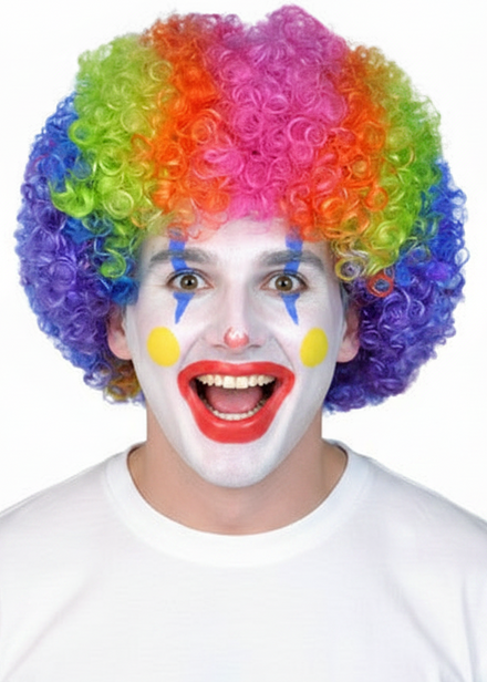 Circus Clown Rainbow Curly Afro Costume Wig - main image