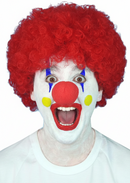 Circus Clown Red Curly Afro Costume Wig - Main Image