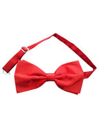 Classic Red Satin Adjustable Costume Bowtie - Main Image