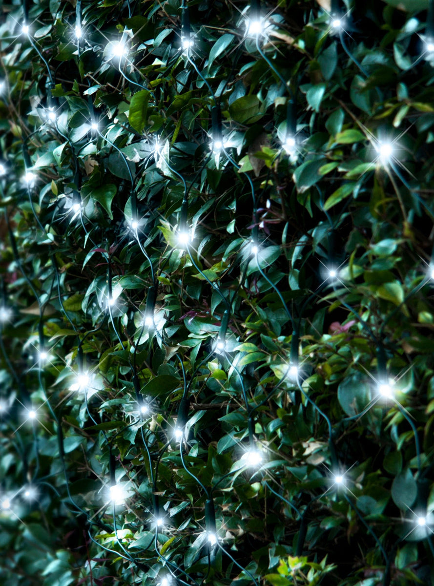 Cool White Battery Operated Net Christmas Lights 180 Bulb - Main Image