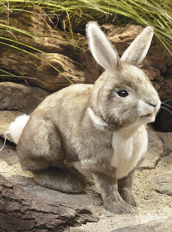 Cottontail Rabbit Hand Puppet - Lifestyle Image