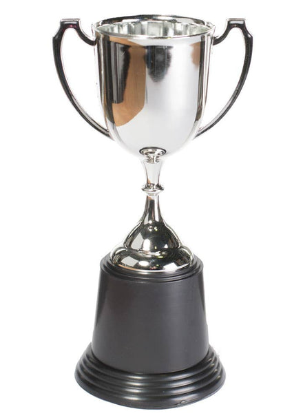 Silver Cup Trophy Costume Accessory Main Image