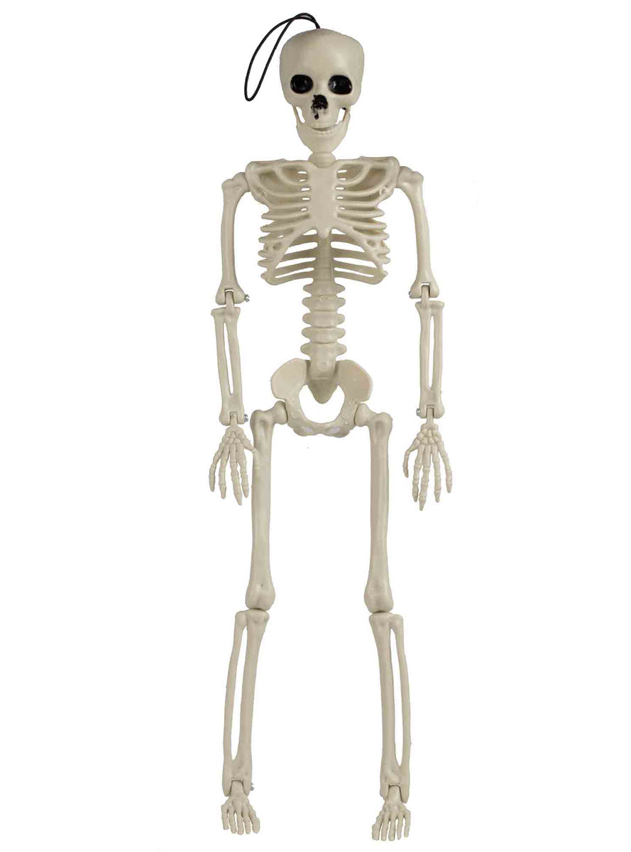 Deadly Soiree Mini 35cm Hanging Skeleton Halloween Decoration – Main Image