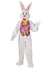 Adults Deluxe Plus Size Easter Bunny Mascot Costume - Main Image