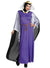 Womens Disney Snow White Evil Queen Dress Up Costume