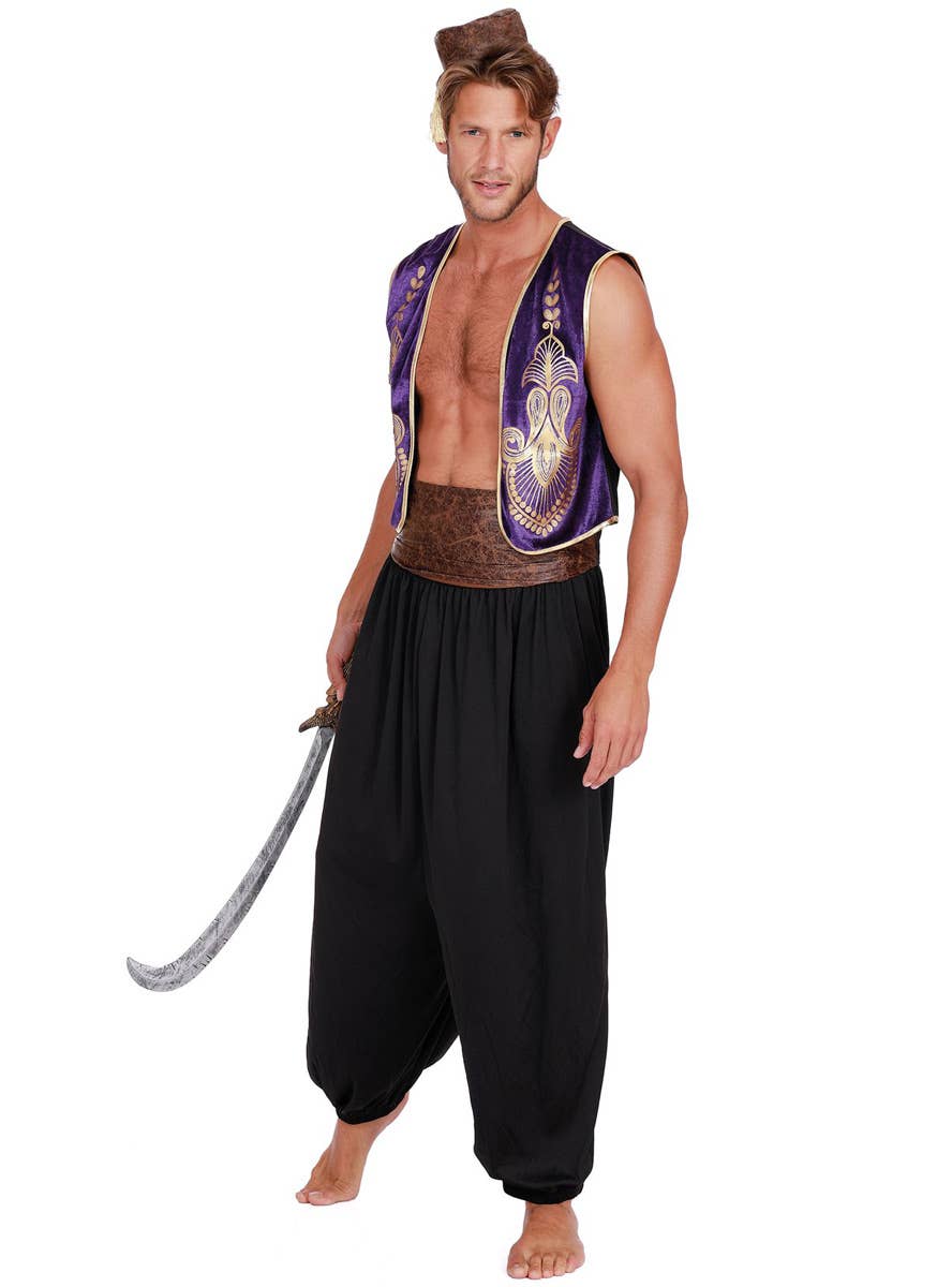 Plus Size Deluxe Aladdin Mens Costume Arabian Prince Costume for Men
