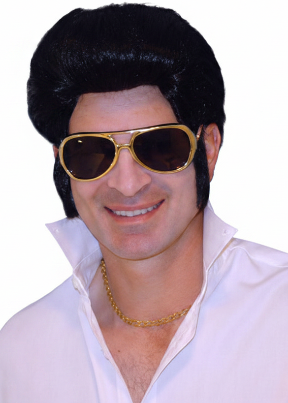 Mens Black 1950s Elvis Costume Wig - Main Image