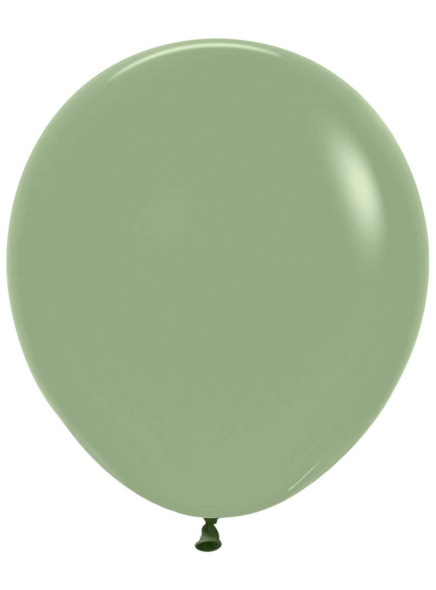 Image of Fashion Eucalyptus Green 6 Pack 45cm Latex Balloons 