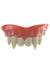 Custom Fit Double Vampire Fangs