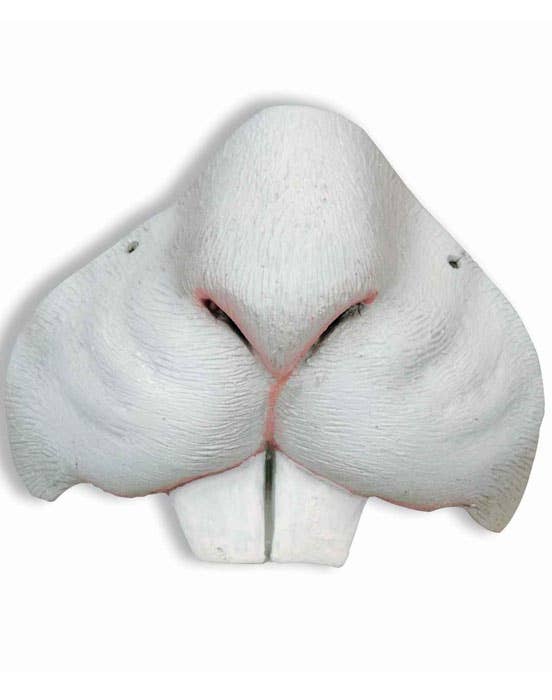 White Plastic Bunny Nose and Teeth Costume Accessory