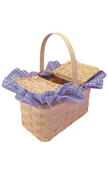 Dorothy Blue Gingham Wicker Basket Costume Accessory
