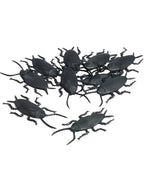 12 Pack of Black Cockroaches