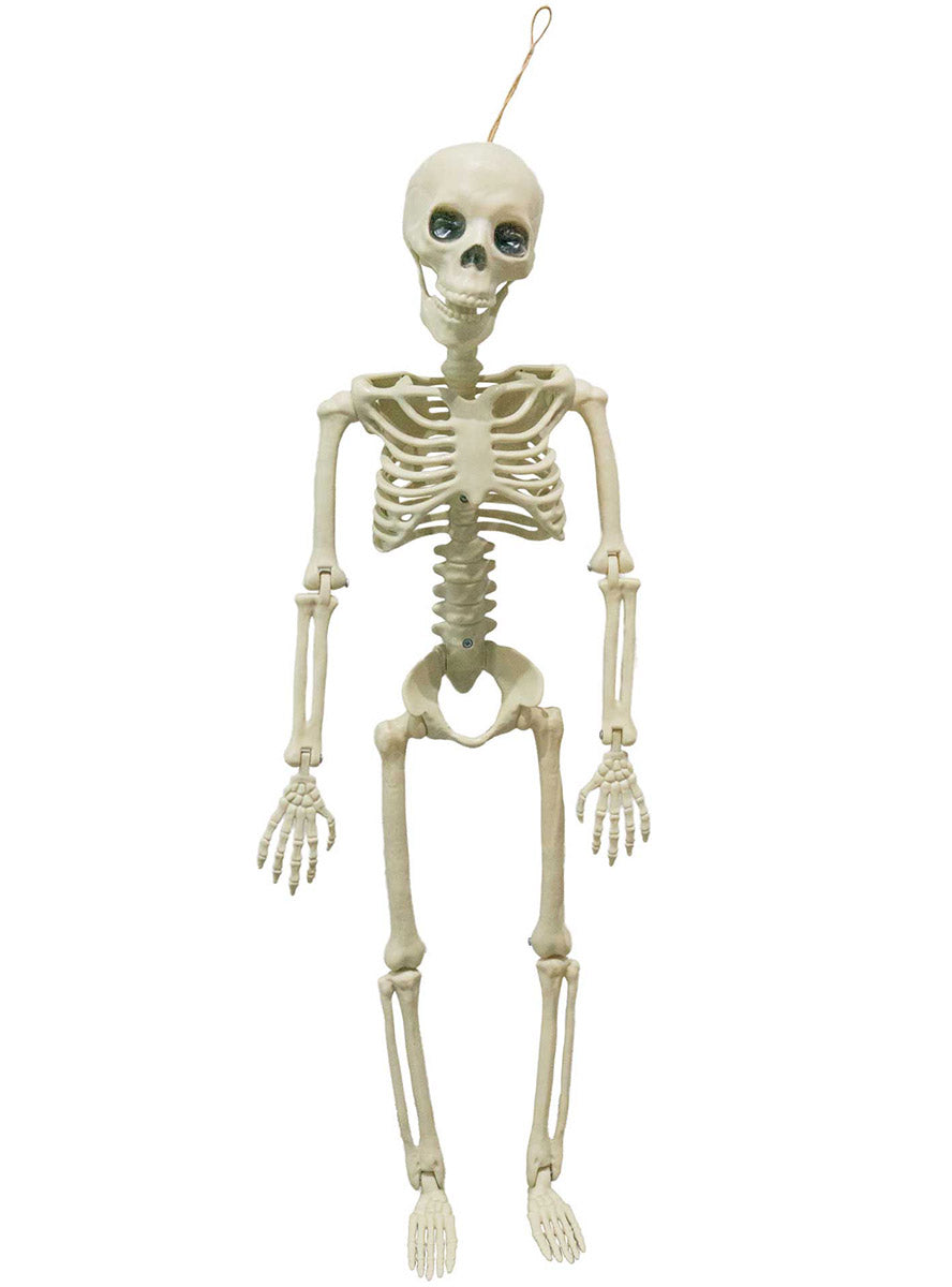 Hanging Halloween Fright Night Skeleton Decoration - Main Image