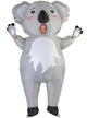 Image of Inflatable Koala Adult's Animal Costume - Front View