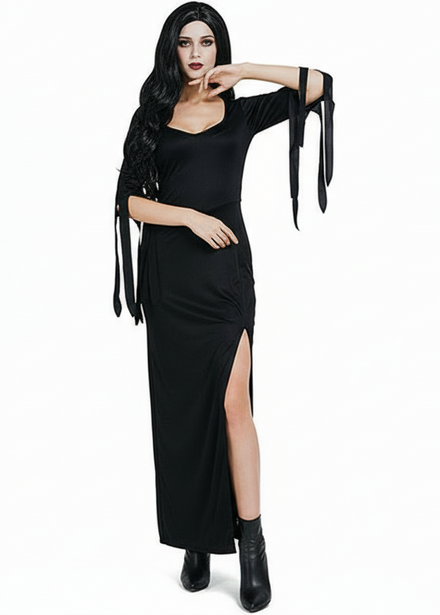 Image of Gothic Lady Morticia Women's Halloween Costume - main image