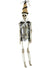 Image of Hanging Party Skeleton 51cm Halloween Decoration