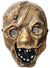 Image of Scary Hard Plastic Scarecrow Halloween Mask