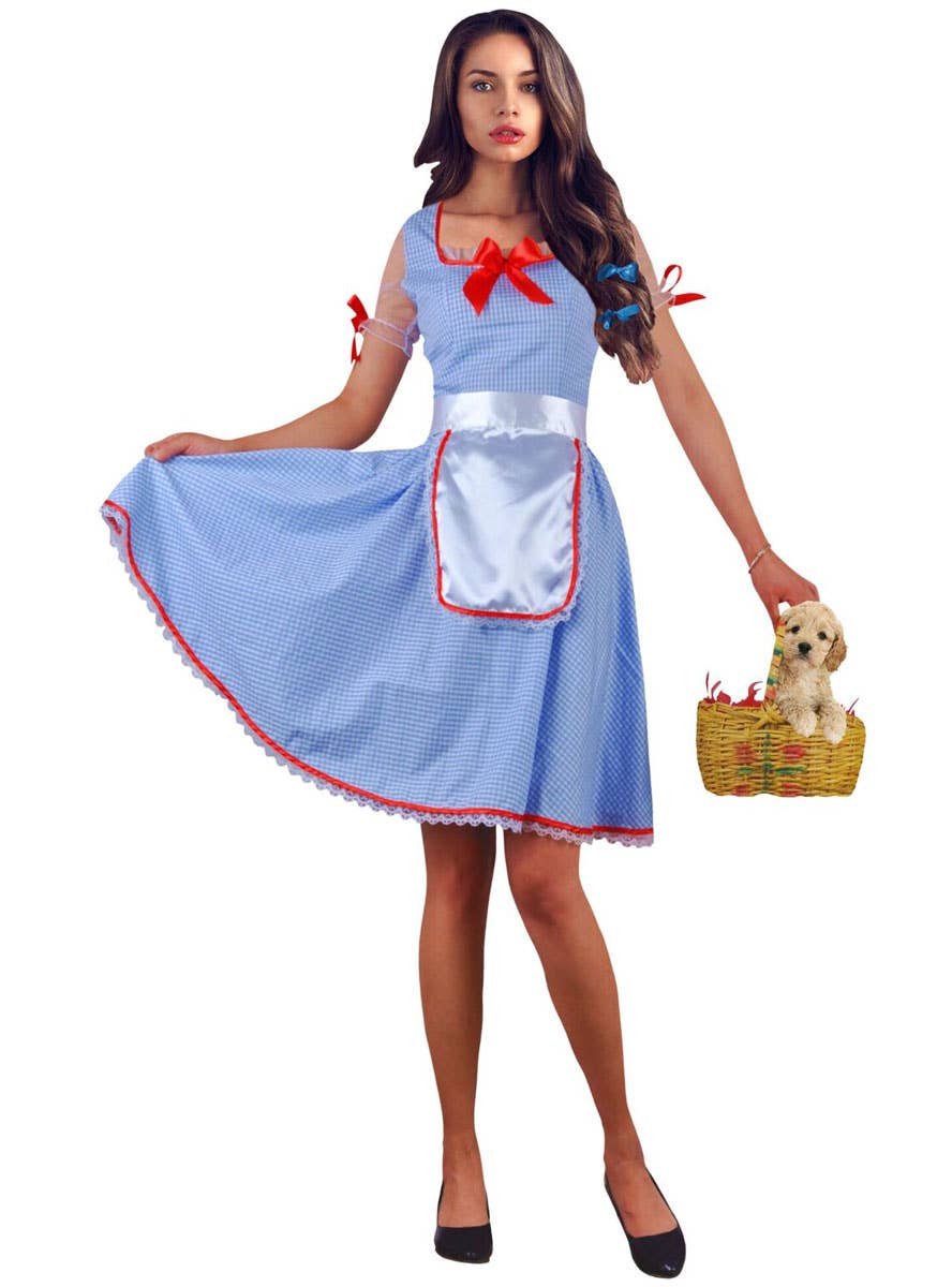 Dorothy Womens Dress Up Costume | Dorothy Fairytale Womens Costume Dorothy Womens Dress Up Costume | Dorothy Fairytale Womens Costume