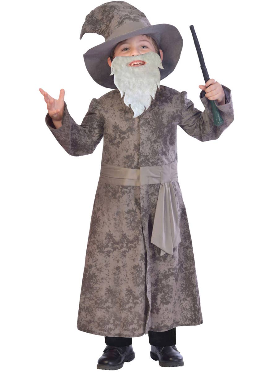 Boys Grey Wizard Dumbledore Costume