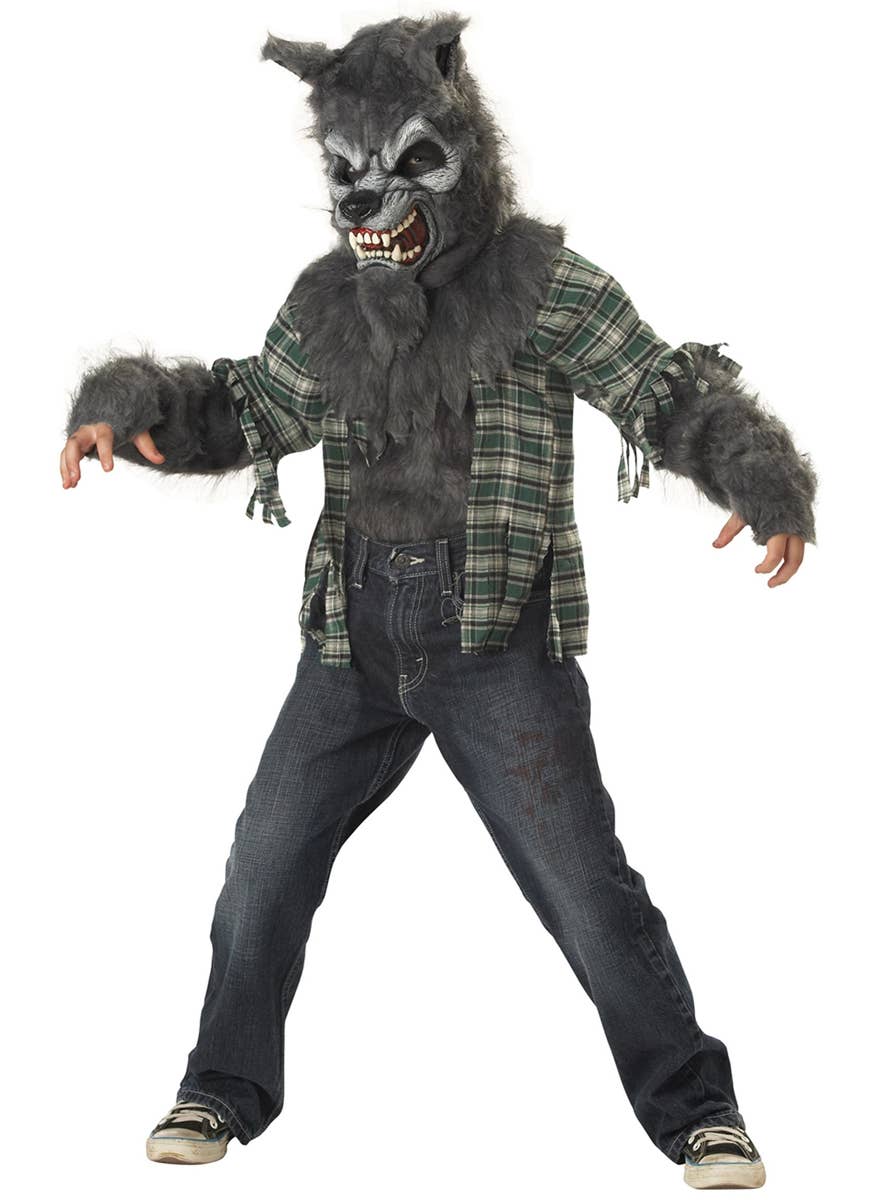 Boy's Werewolf Grey Fur Halloween Fancy Dress Costume Front