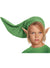 Boys Link Costume Hat and Ears Set
