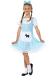 Girls Dorothy Fancy Dress Costume - Front Image