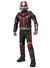 Boys The Angers Ant Man Superhero Costume - Main Image