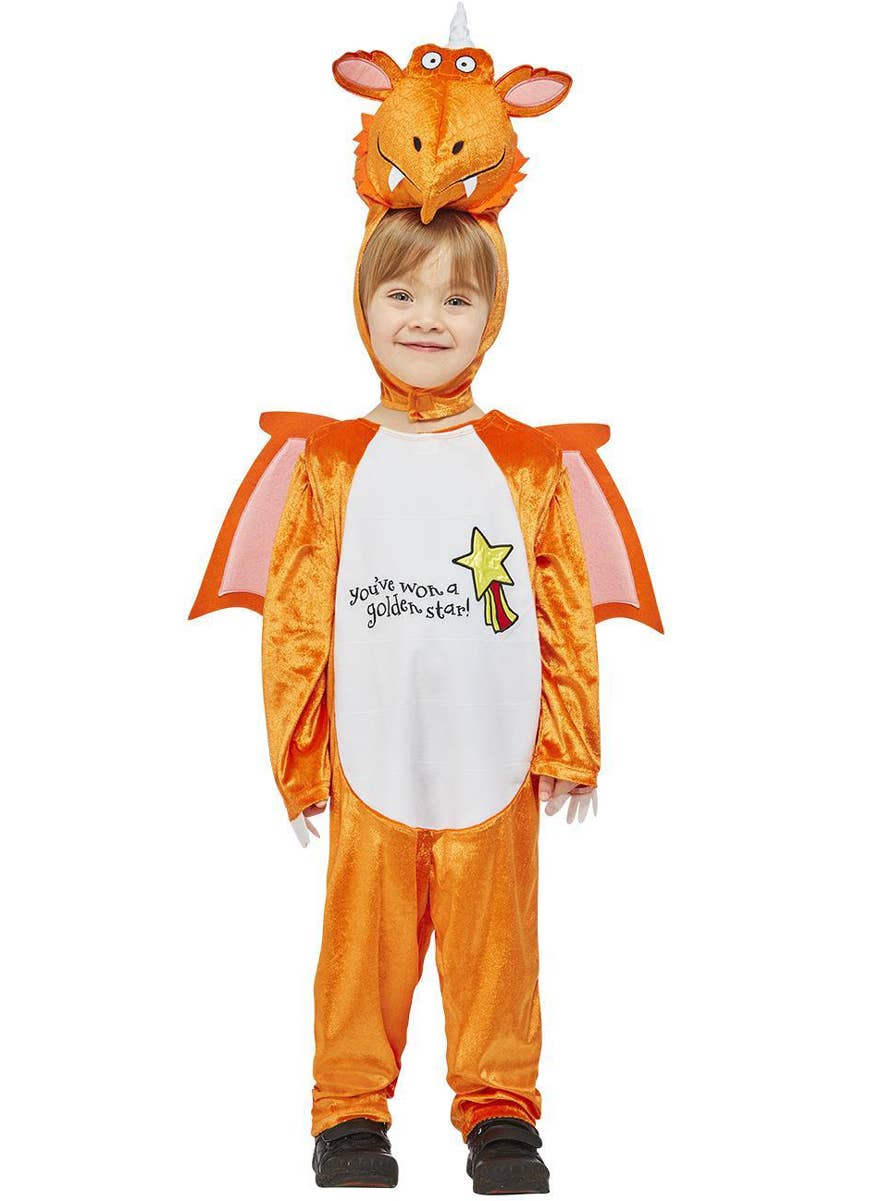 Kids Julia Donaldson Zog Dragon Costume - Front Image