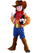 Boys Toy Story Woody Inspired Costume