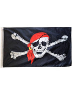 Image of Large 150cm x 90cm Pirate Flag Party Decoration