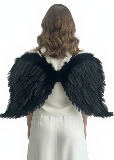 Adults Black Feather 65cm Angel Costume Wings - main image