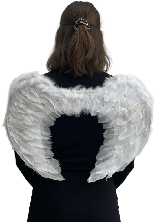 Adults White Feather 60cm Angel Costume Wings - Main Image
