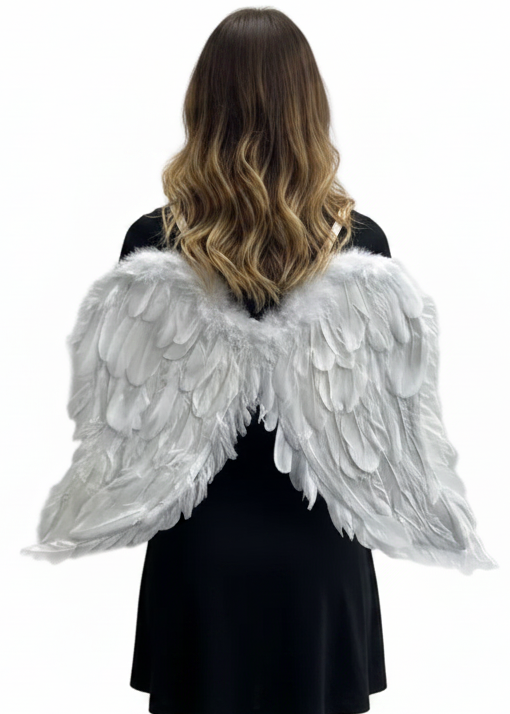 Adults White Feather 65cm Angel Costume Wings - main Image