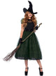 Women's Deluxe Black and Green Witch Halloween Costume - Front View