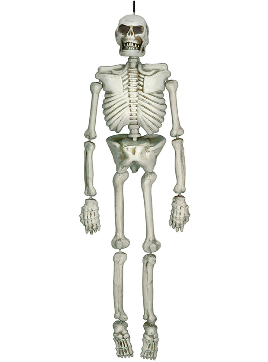 Life Size Halloween Skeleton Decoration - Main Image