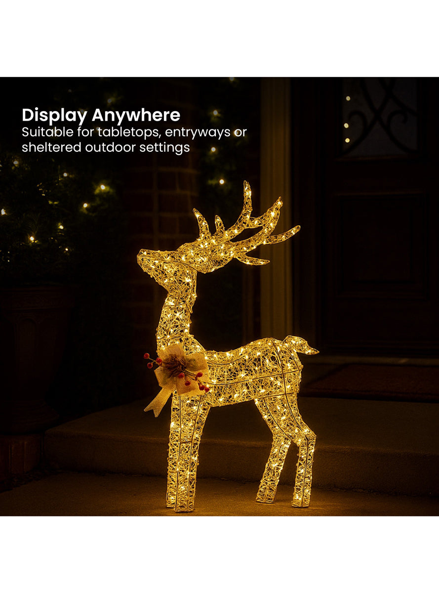 Light Up Christabelle Indoor or Outdoor Warm White LED Reindeer Christmas Decoration - Display Details Image