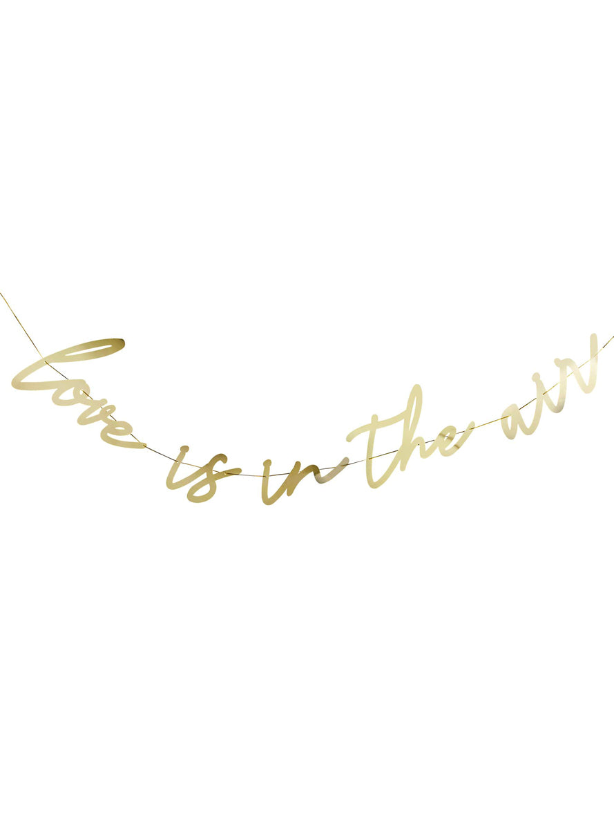 Love is in the Air 2m Long Gold Banner - Main Image
