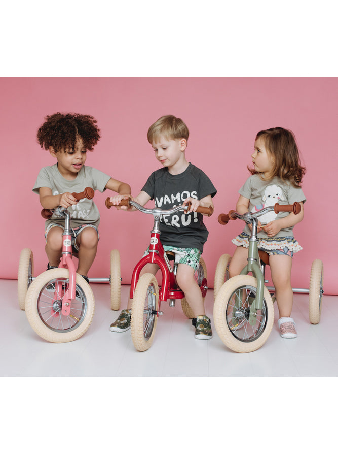 Matte Green Vintage Trybike Tricycle For Children - Lifesyle Image 1