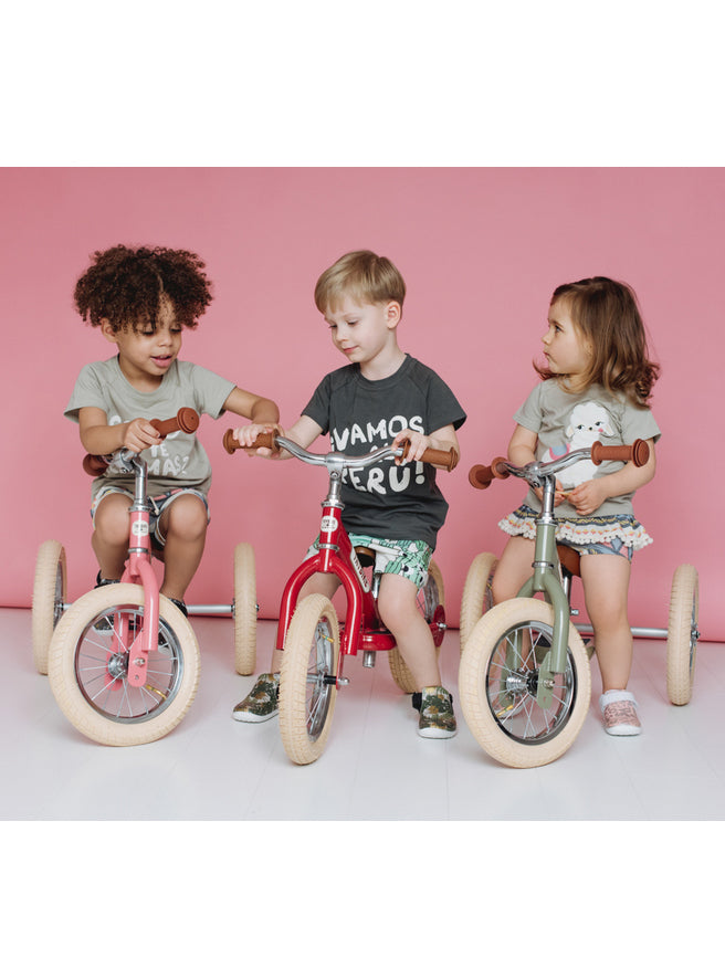 Matte Pink Vintage Tricycle Trybike For Children - Lifestyle Image 1
