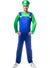 Image of Super Mens Green Plumber Luigi Costume